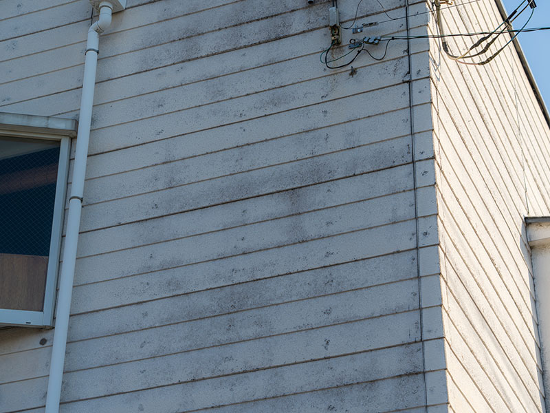 チェックリスト症例画像1