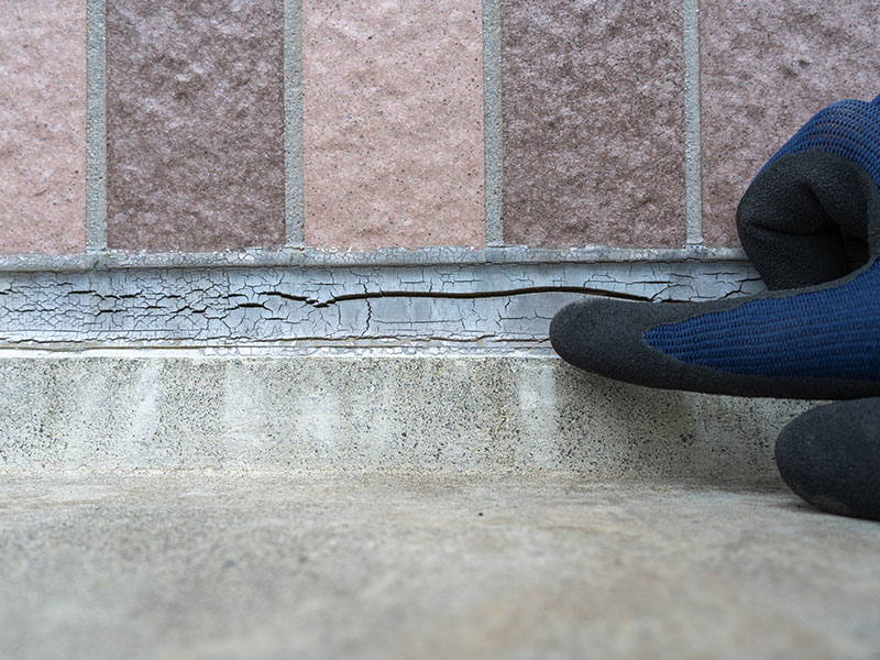 チェックリスト症例画像4