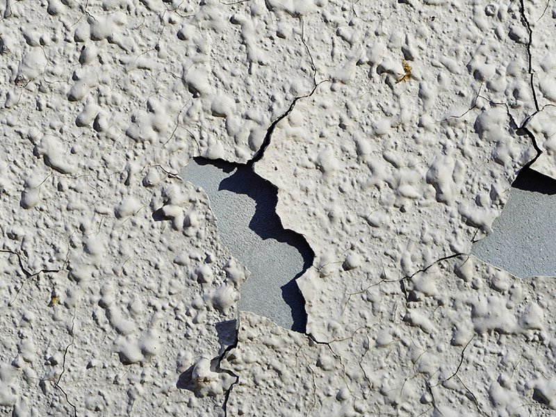 チェックリスト症例画像5