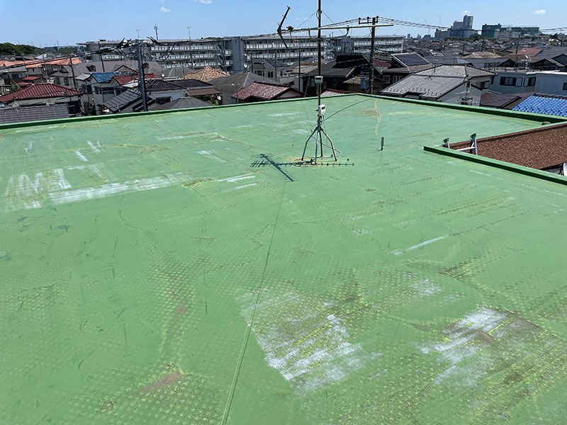 チェックリスト症例画像1